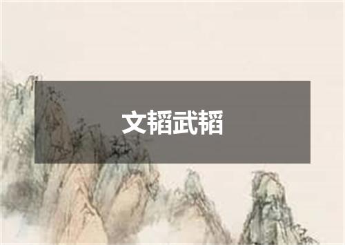 文韬武韬