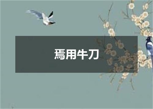 焉用牛刀