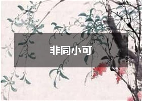 非同小可