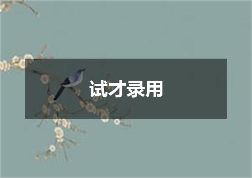 试才录用