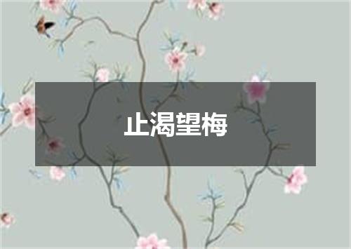 止渴望梅是什么意思