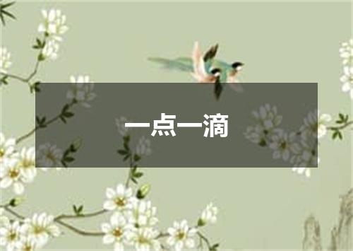 一点一滴是什么意思