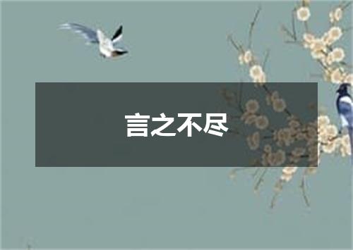 言之不尽是什么意思