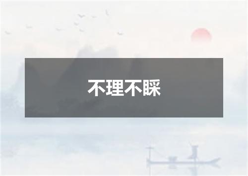 不理不睬是什么意思