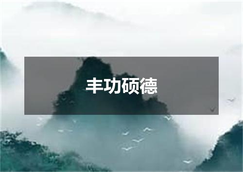 丰功硕德是什么意思