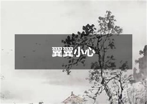 翼翼小心是什么意思