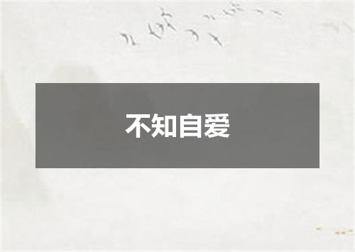 不知自爱是什么意思