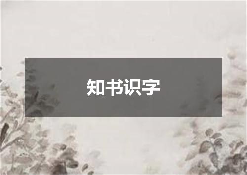 知书识字是什么意思