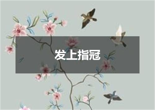 发上指冠