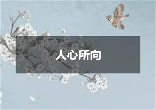 人心所向