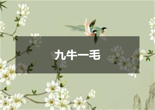 九牛一毛