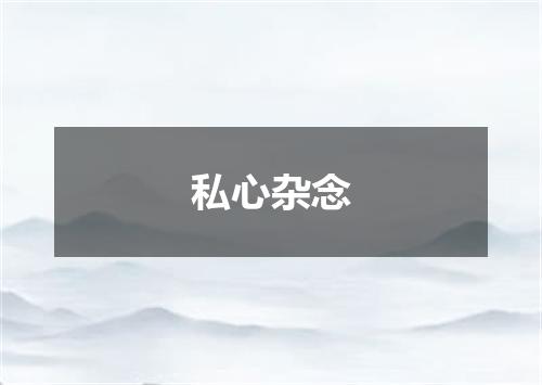私心杂念