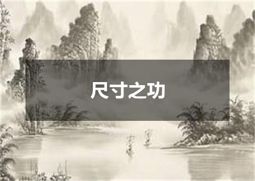 尺寸之功