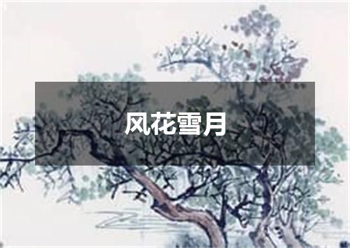 风花雪月