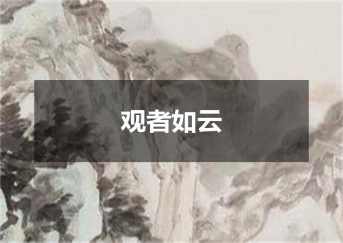 观者如云