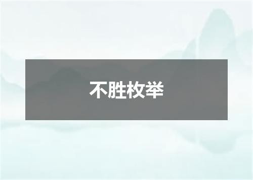 不胜枚举