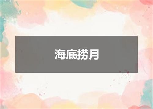 海底捞月