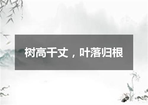 树高千丈，叶落归根