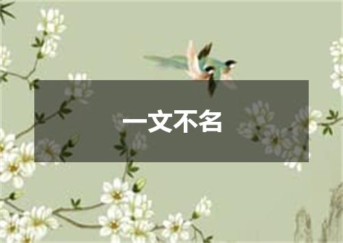一文不名