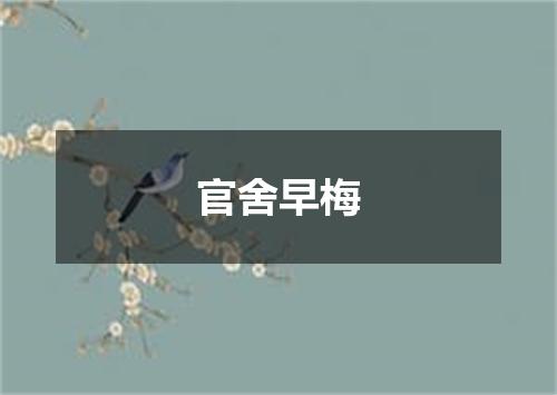 官舍早梅