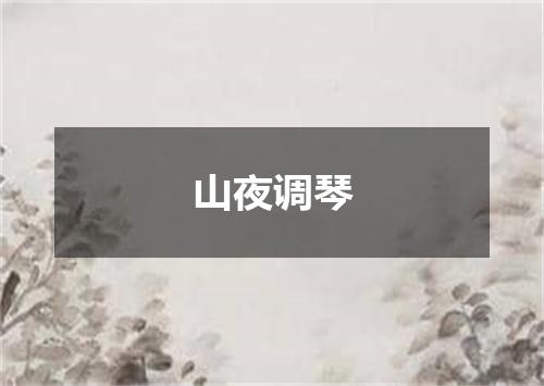 山夜调琴