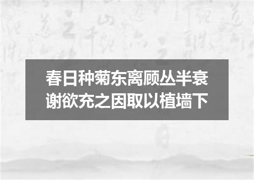 春日种菊东离顾丛半衰谢欲充之因取以植墙下