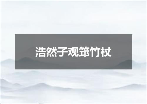 浩然子观筇竹杖