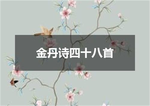 金丹诗四十八首