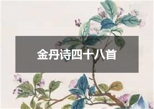 金丹诗四十八首
