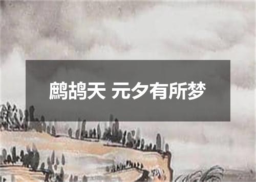 鹧鸪天 元夕有所梦
