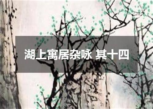 湖上寓居杂咏 其十四