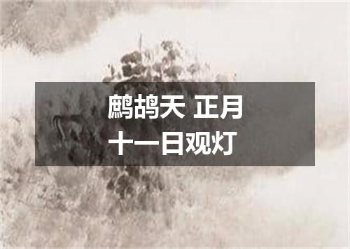鹧鸪天 正月十一日观灯