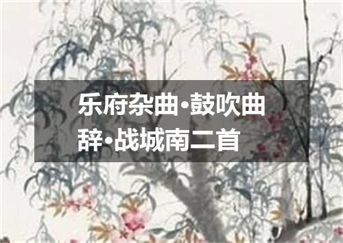 乐府杂曲·鼓吹曲辞·战城南二首
