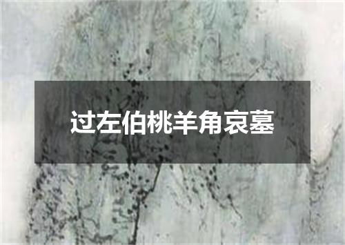 过左伯桃羊角哀墓