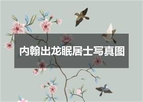 内翰出龙眠居士写真图