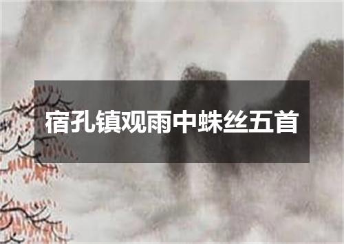 宿孔镇观雨中蛛丝五首