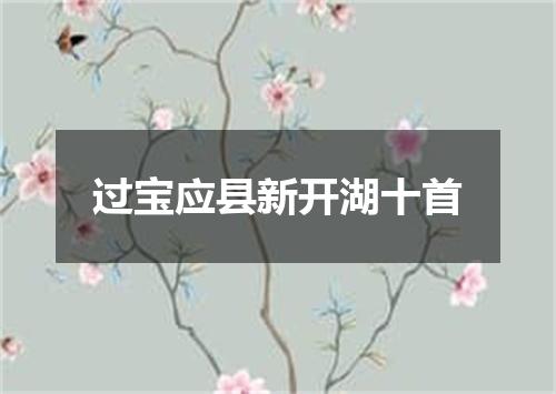 过宝应县新开湖十首