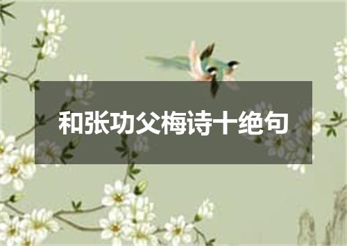 和张功父梅诗十绝句