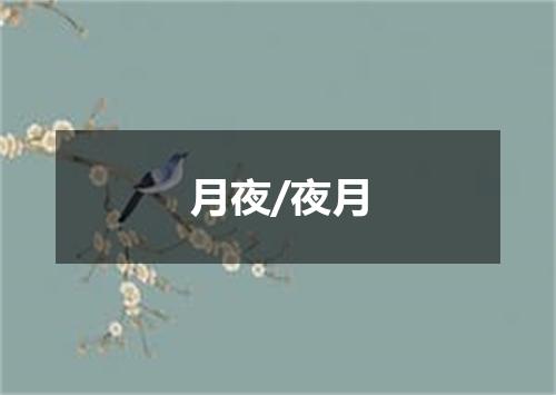 月夜/夜月