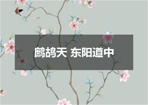 鹧鸪天 东阳道中