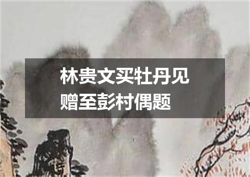 林贵文买牡丹见赠至彭村偶题