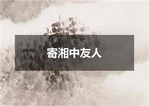 寄湘中友人