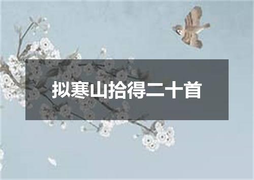 拟寒山拾得二十首