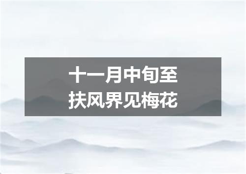 十一月中旬至扶风界见梅花