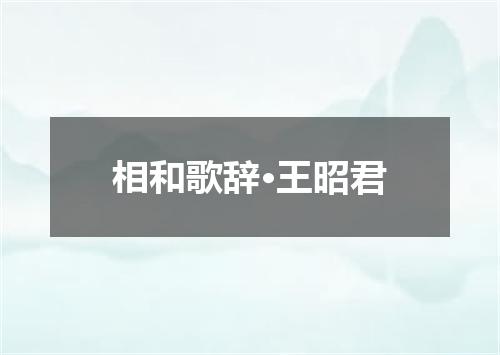 相和歌辞·王昭君