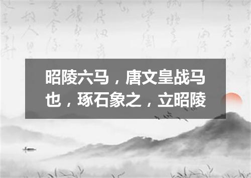 昭陵六马，唐文皇战马也，琢石象之，立昭陵