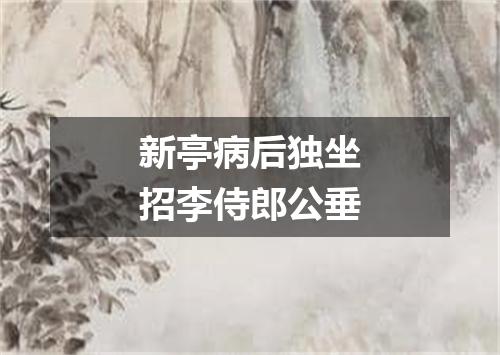 新亭病后独坐招李侍郎公垂