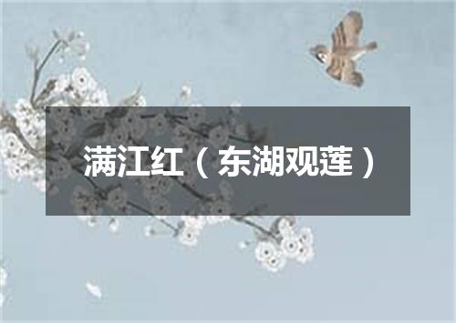 满江红（东湖观莲）