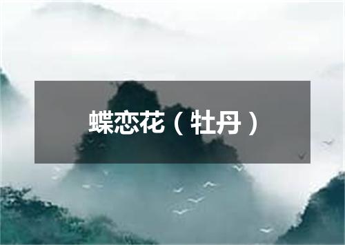蝶恋花(牡丹)