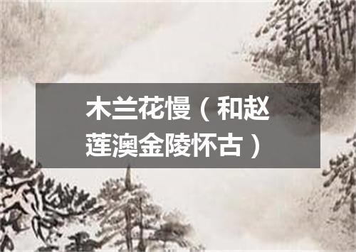 木兰花慢（和赵莲澳金陵怀古）